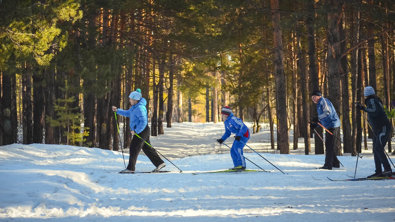 Skifreizeit, Langlauf, Kinder, Freizeit, Ferien, Schnee, Wald